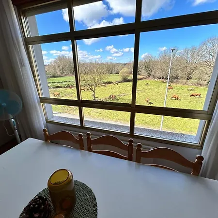 Appartement Casa Lamela *